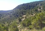 Land in the mountains for sale Murcia Spain