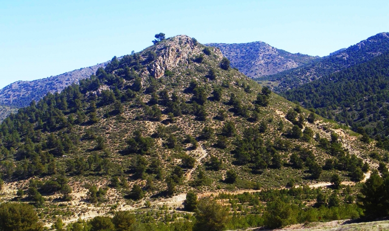 Spanish finca of montain for sale in Murcia near Sierra Espuña