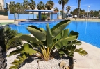 Resale - Apartment - Orihuela Costa - Aguamarina